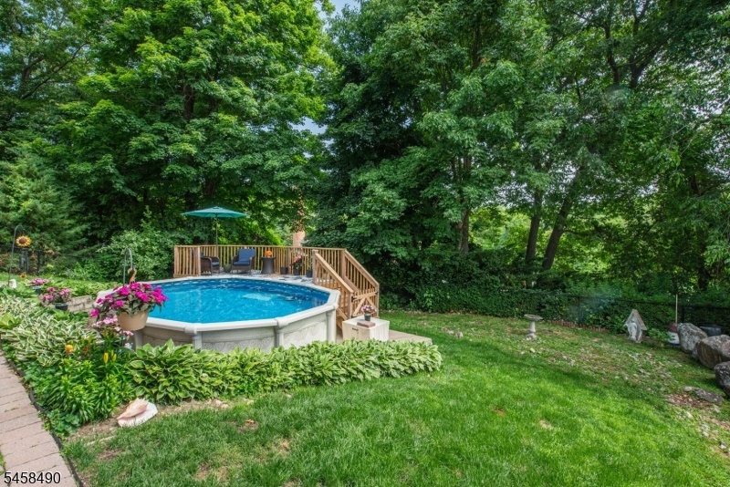 Backyard and pool