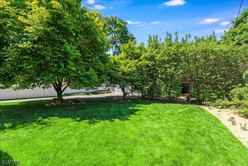 Deep Backyard