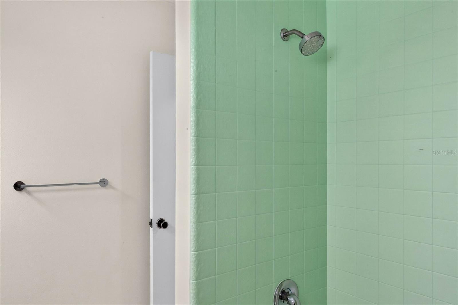 main bath - tub shower