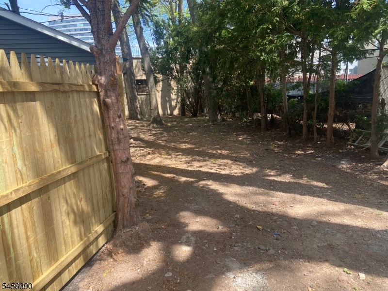Back yard