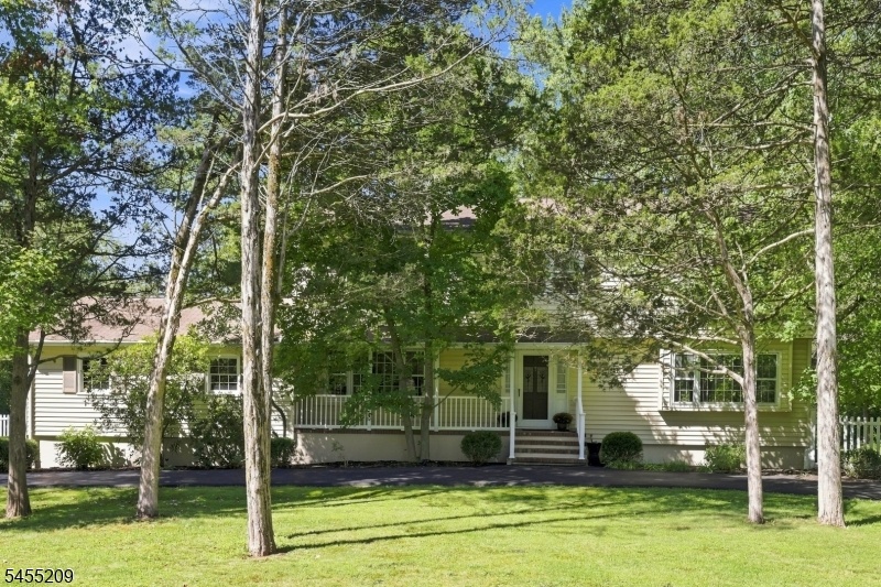 Another Front View