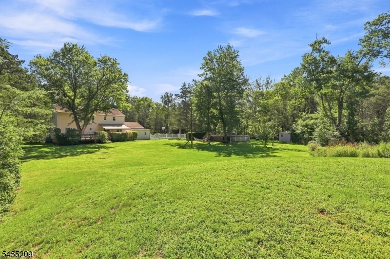 Large Backyard