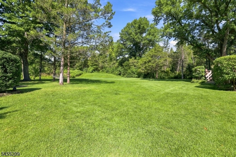 Backyard 2