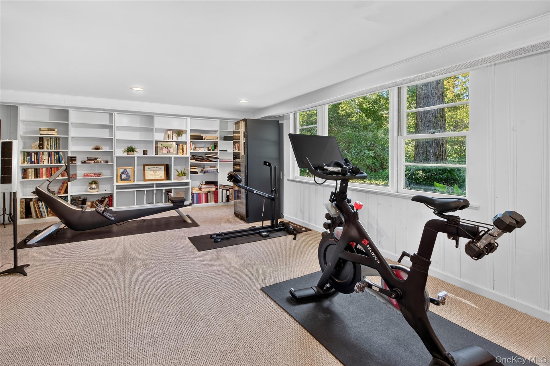 Huge lower level family room