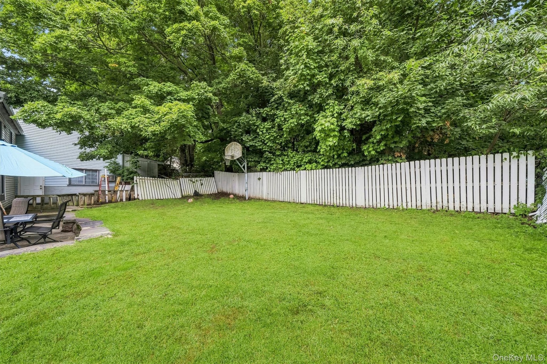 Wide view of the fenced backyard bordered by mature trees.