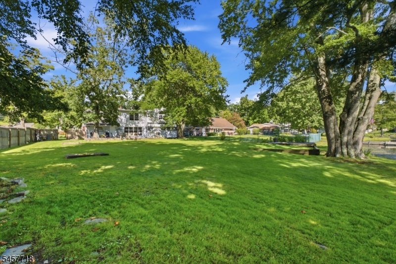 Expansive Backyard