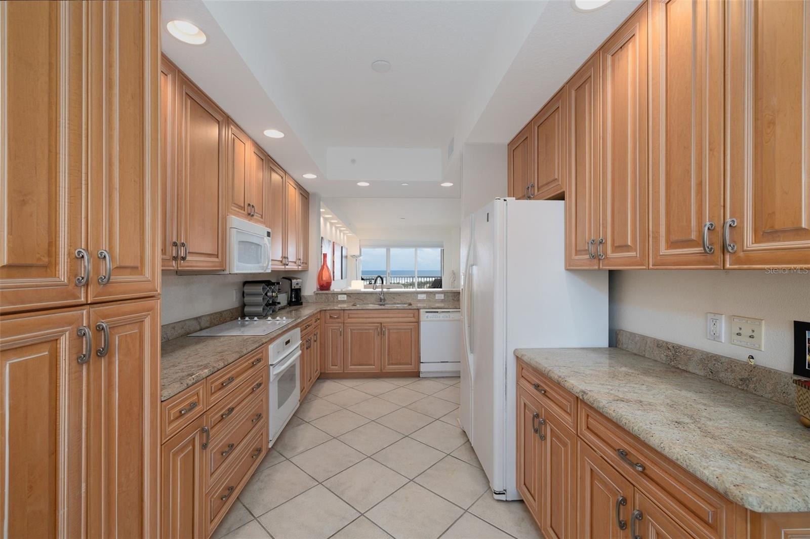Gourmet kitchen boasts lots of wood cabinets, drawers, & granite counters.