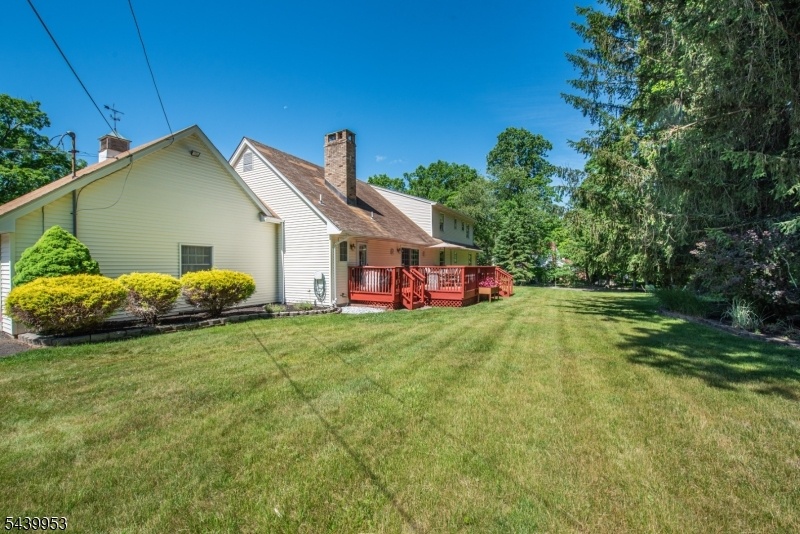 Large Backyard