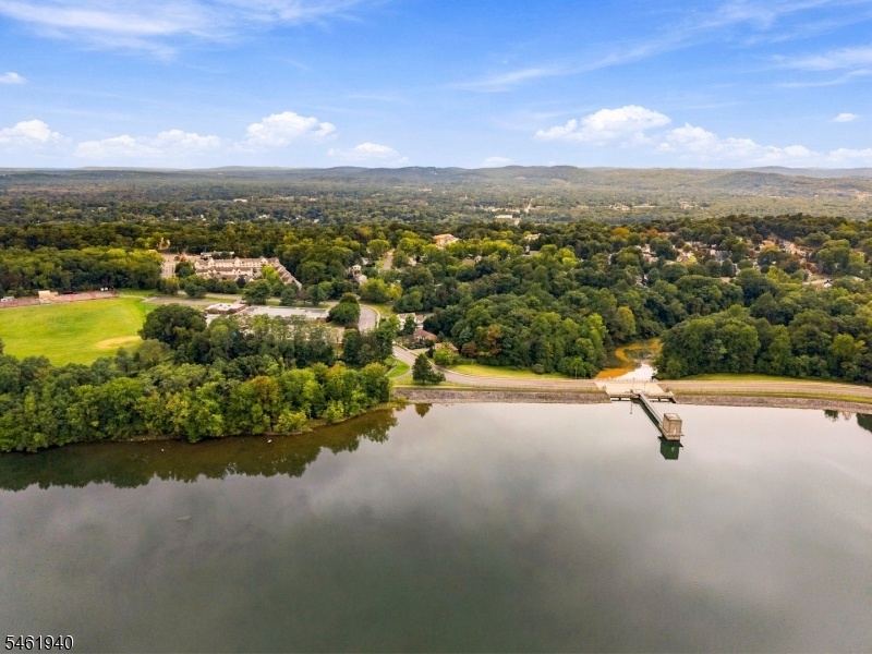 Drone View