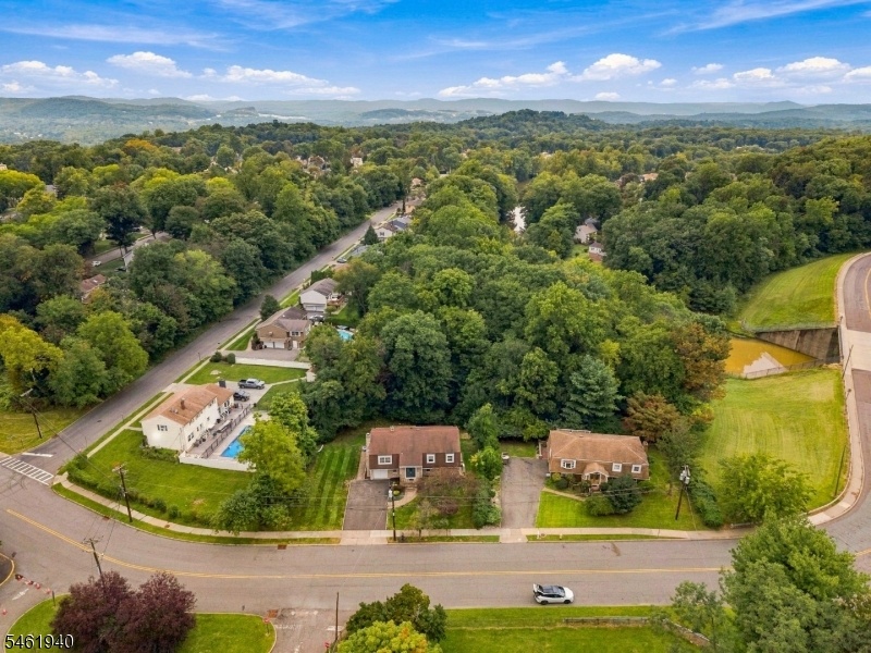 Drone View