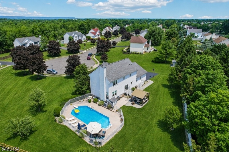 Drone view of property