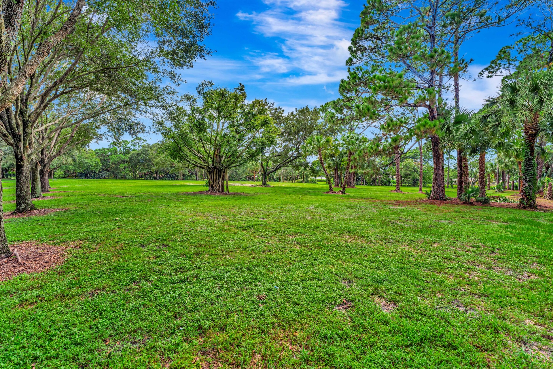 Expansive green lawn surrounded by mature trees, including palms and broadleaf varieties