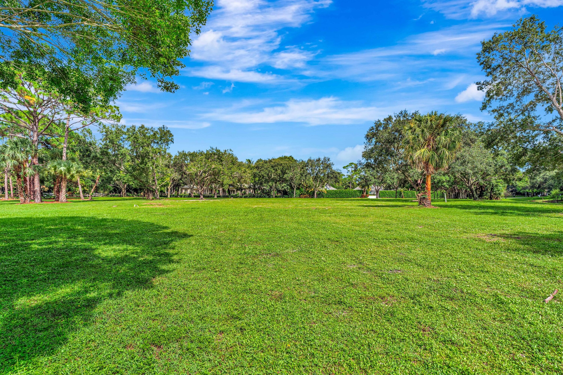 Expansive grassy area with mature trees and natural landscaping