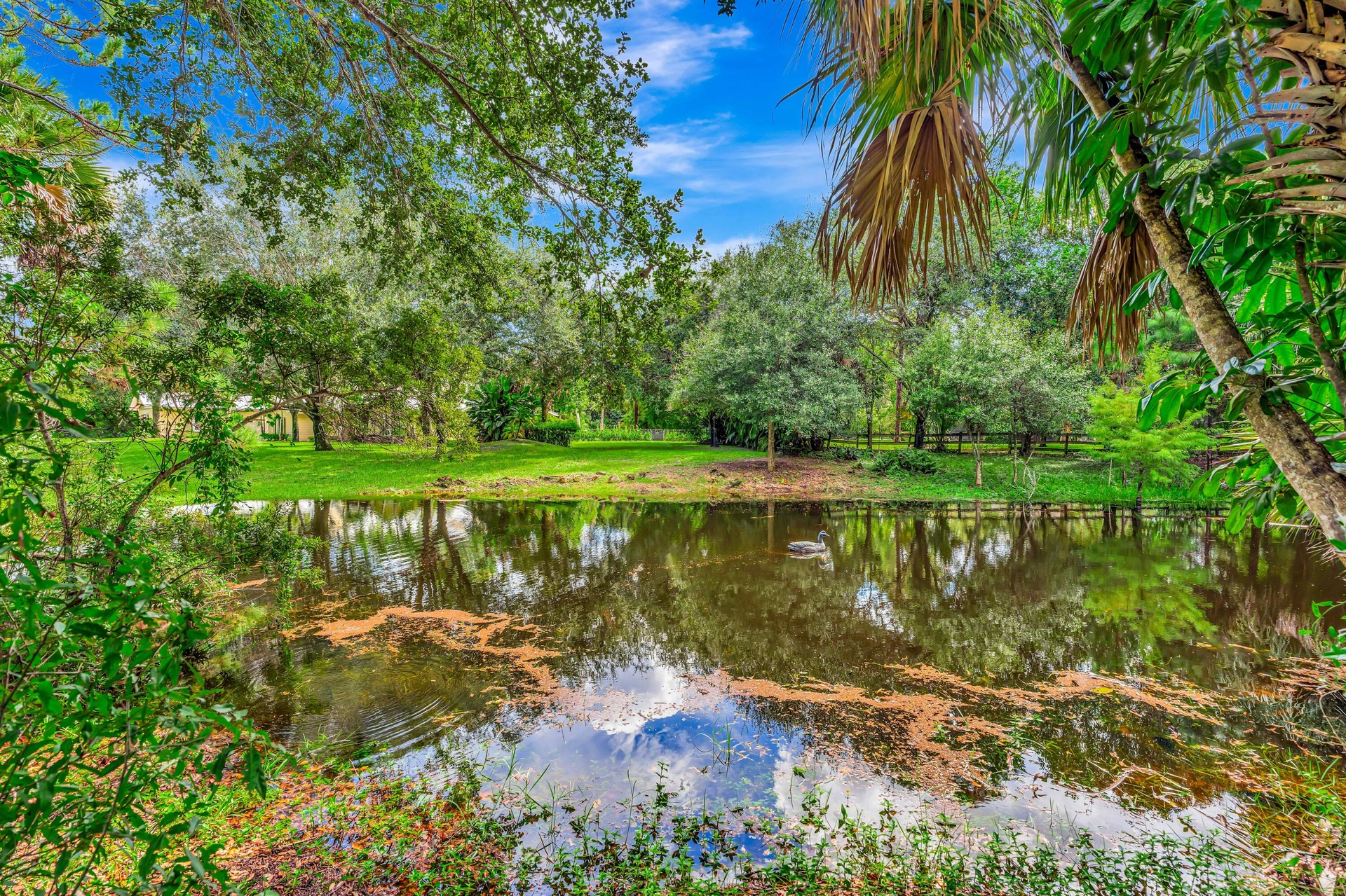 Pond with reflective surface, surrounded by lush green foliage and mature trees, featuring a natural wood fence