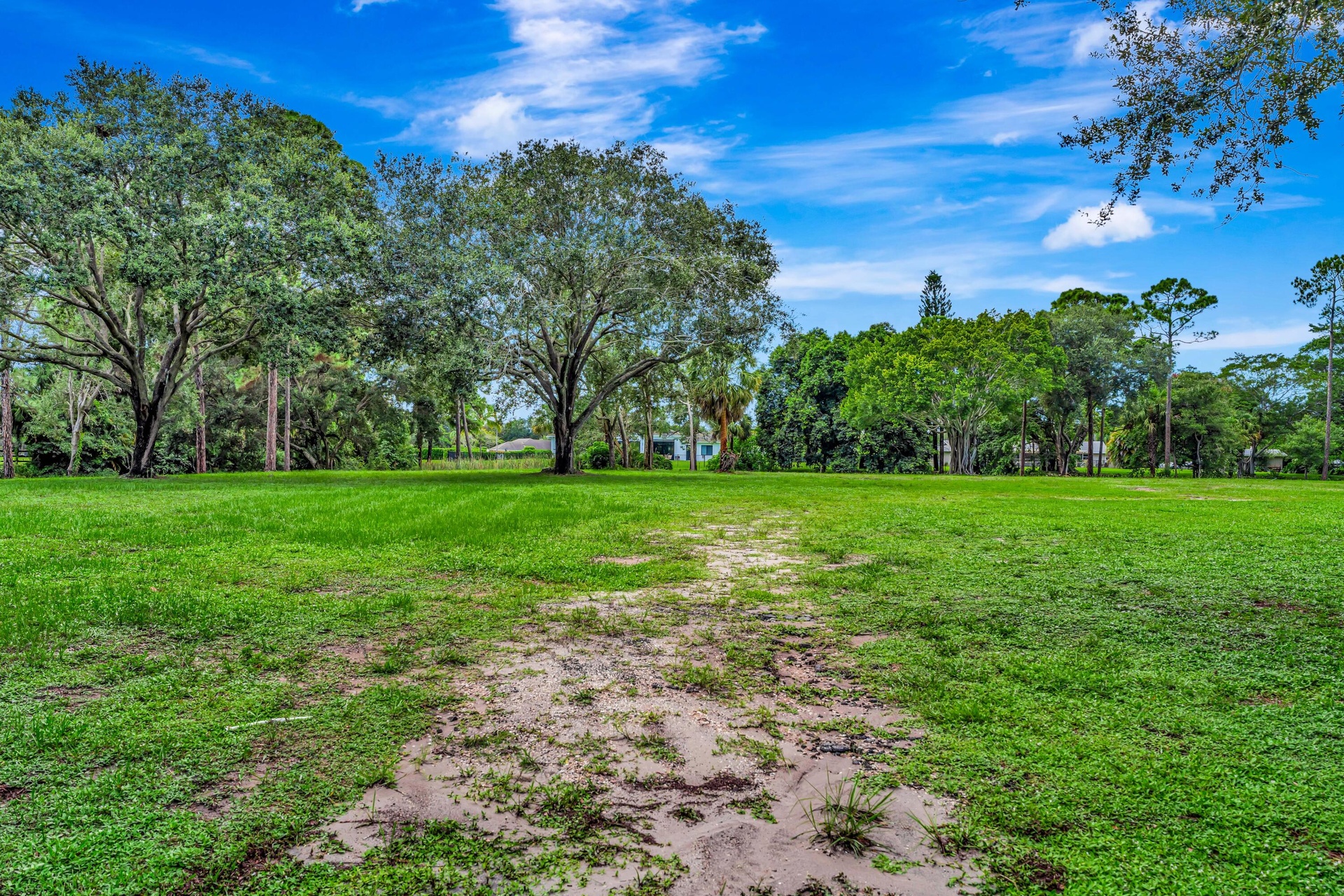 Expansive grassy land with established trees