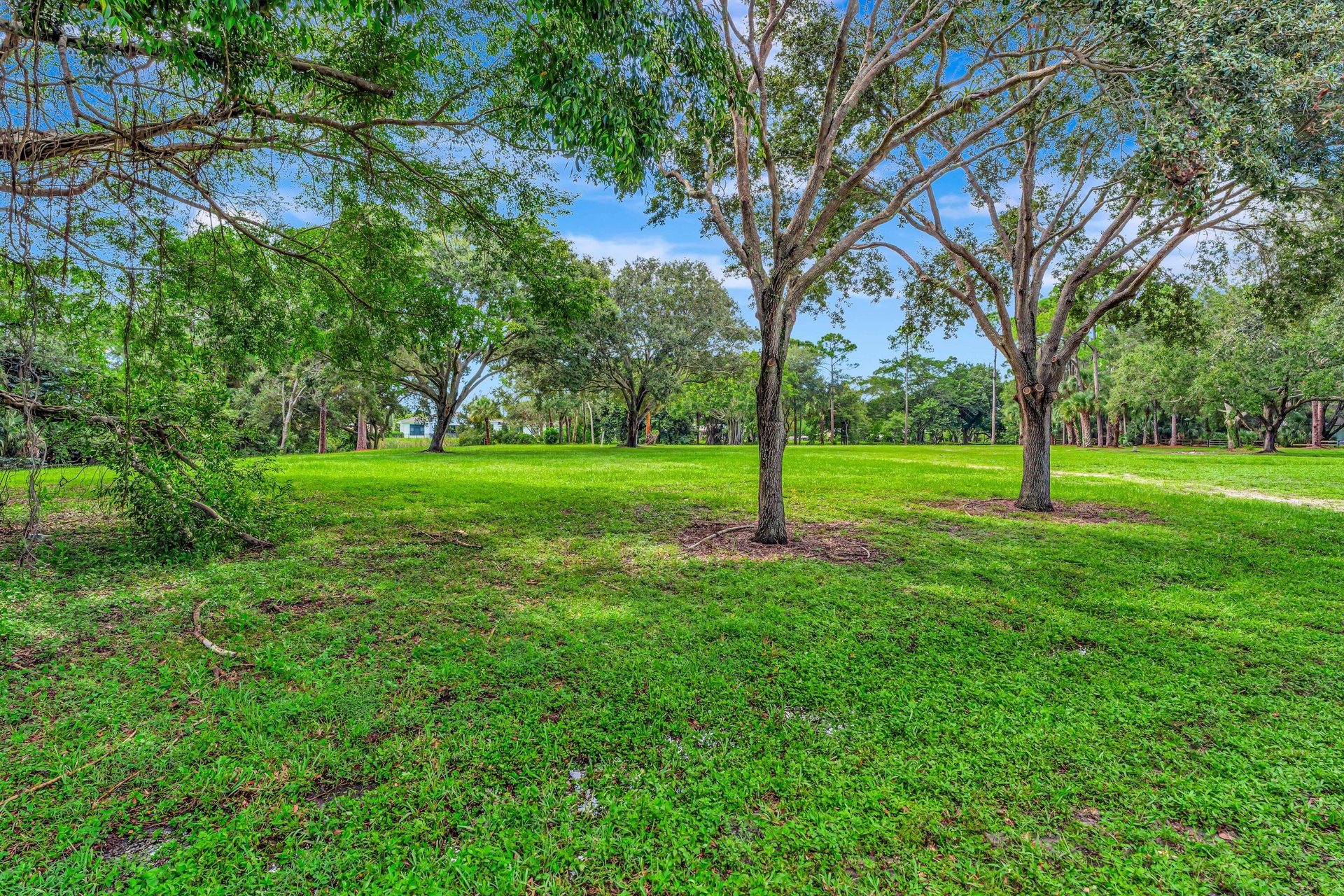 Expansive green space featuring mature trees and lush landscaping
