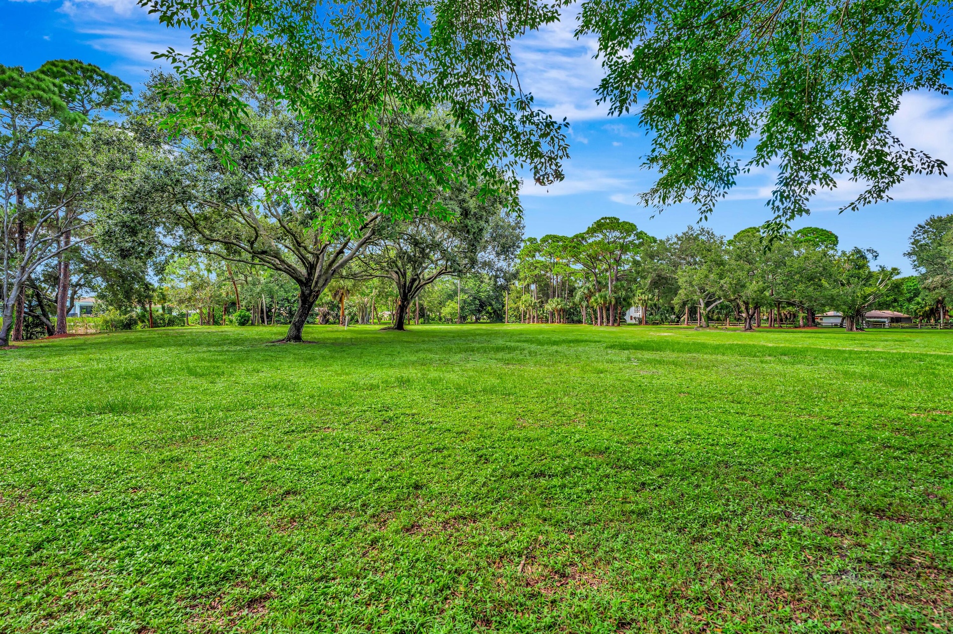 Expansive lawn area with mature trees and natural landscaping