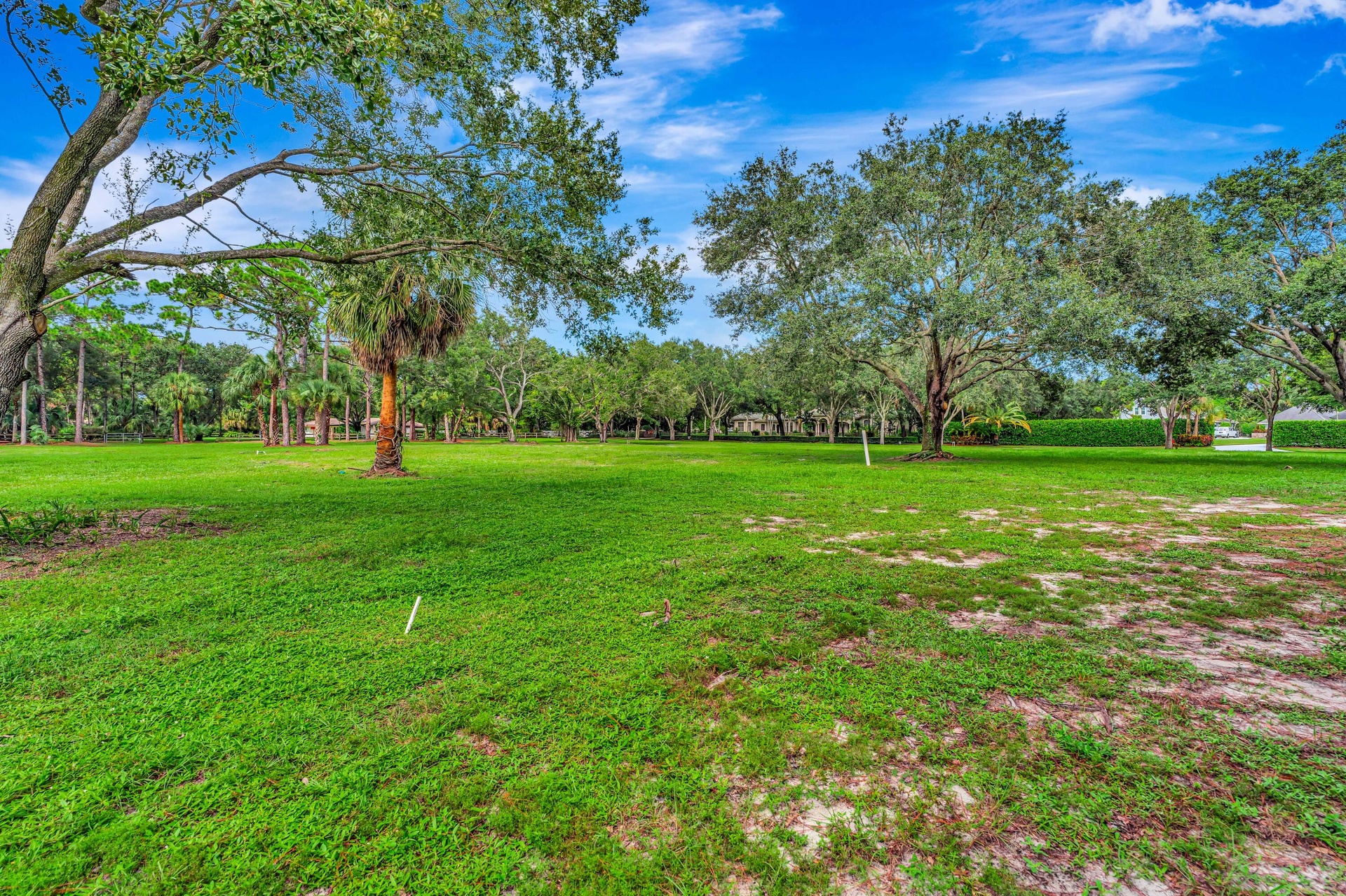 Expansive green space featuring mature trees and a clear blue sky