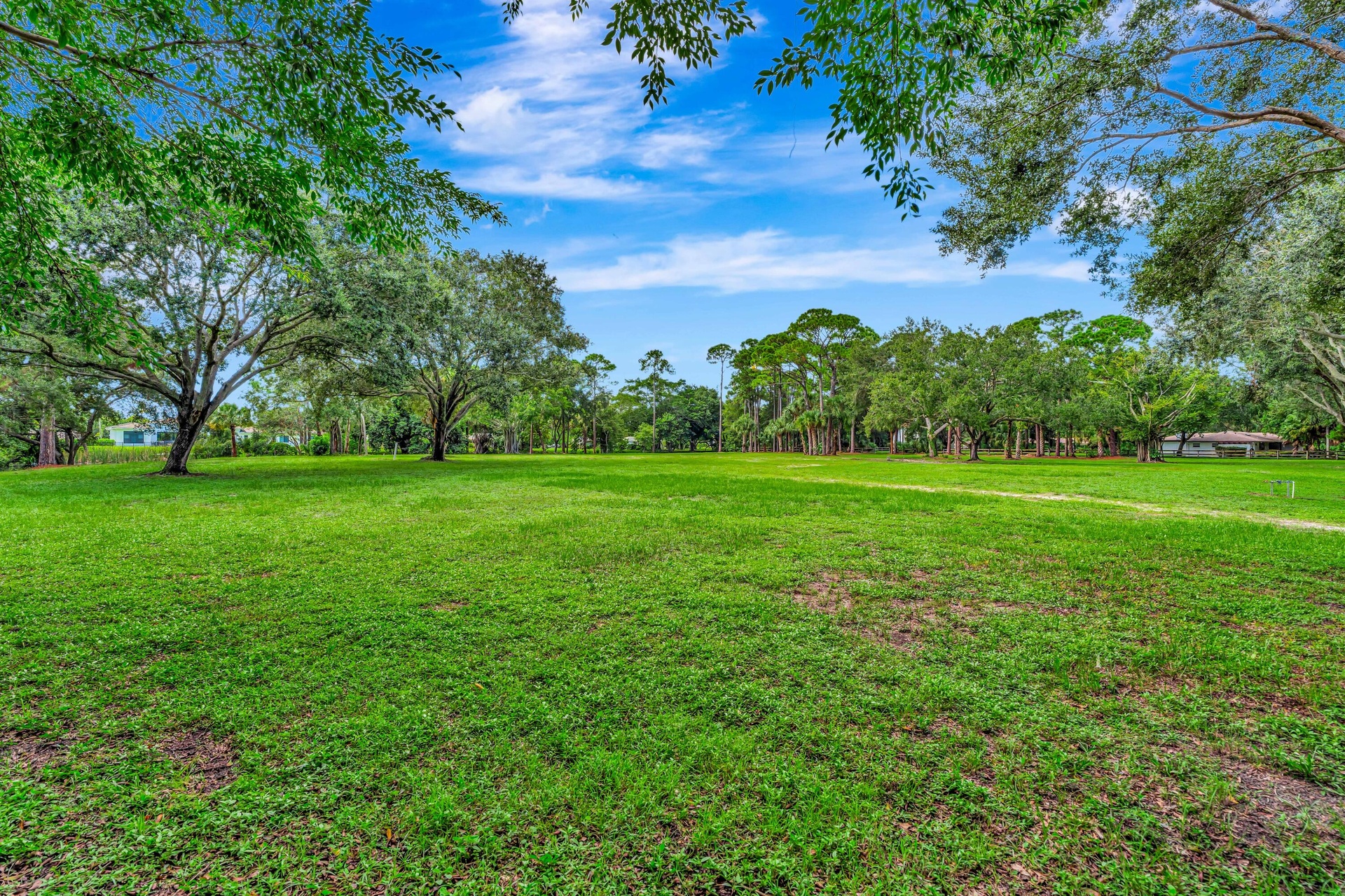 Expansive green space featuring mature trees and open areas