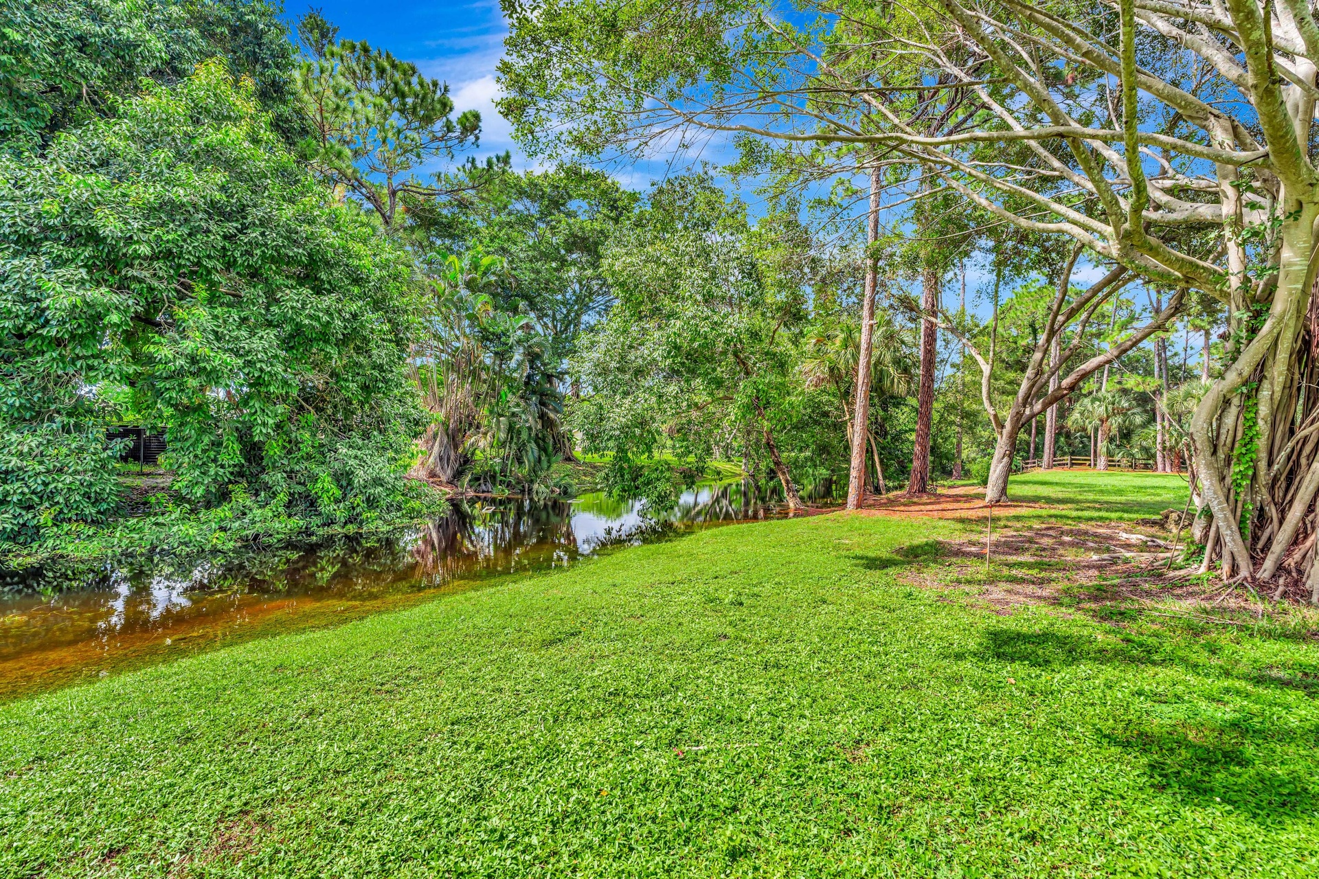 Expansive green lawn with mature trees and natural water feature