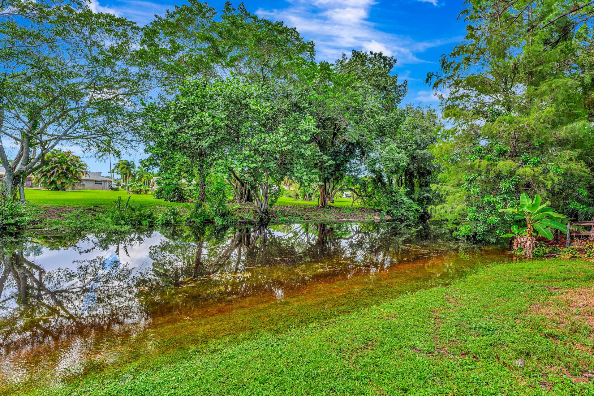 Water feature with verdant surroundings, mature trees, and natural landscaping