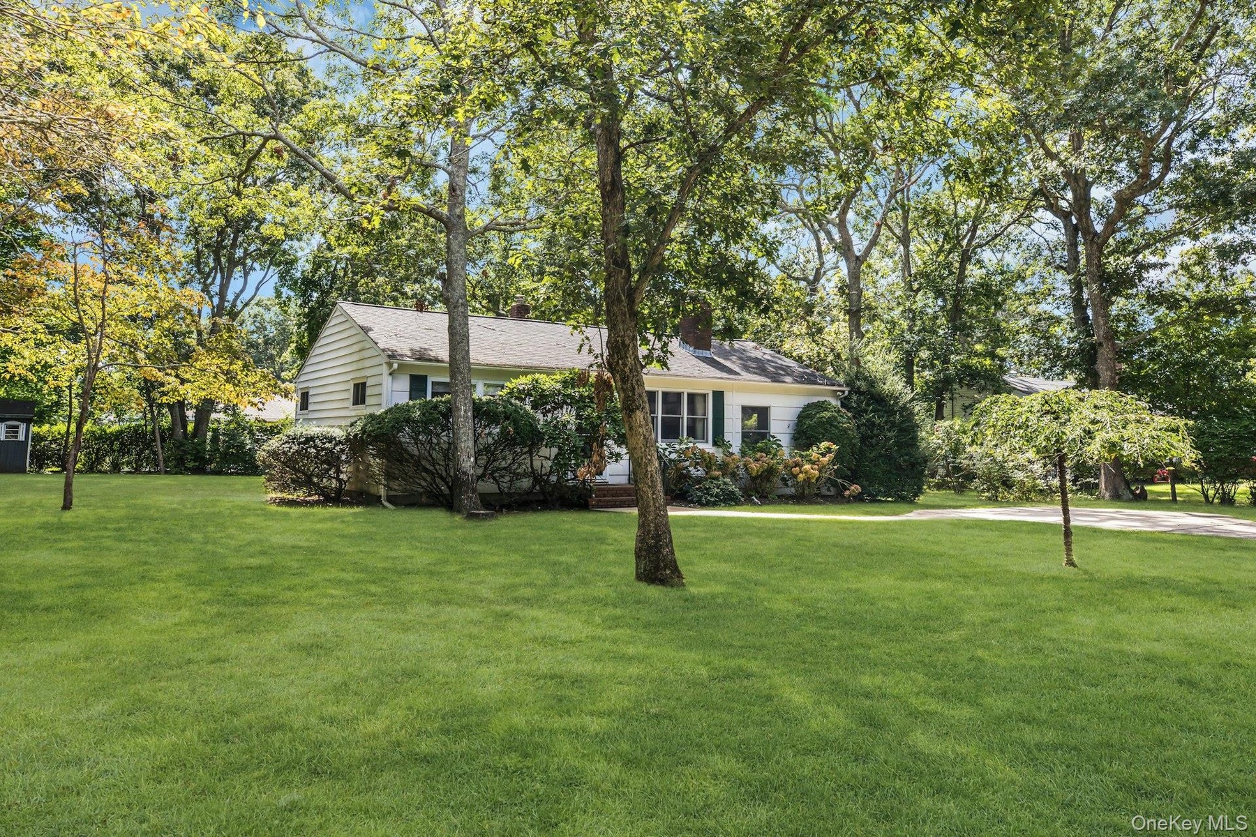 Expansive green lawn with mature trees and established landscaping