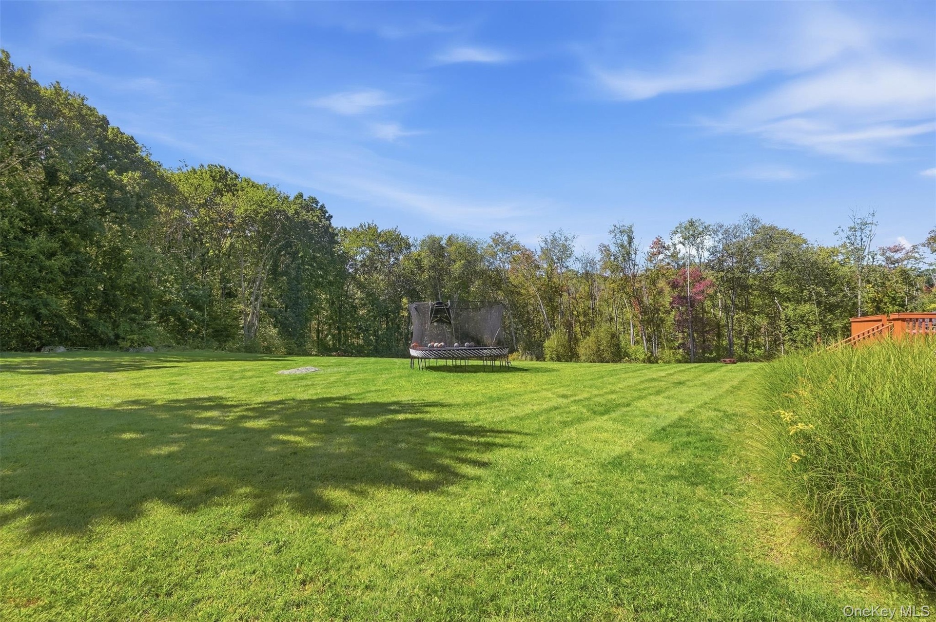 Almost 11 acres of land