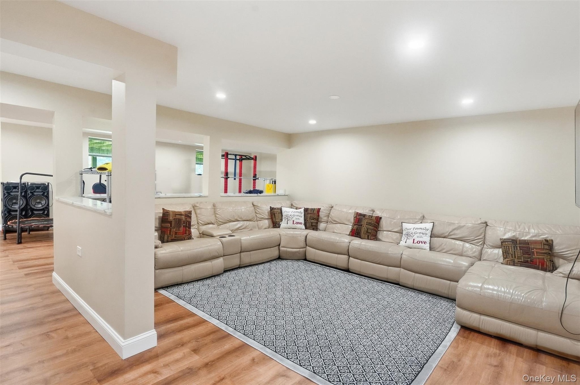 Finished basement