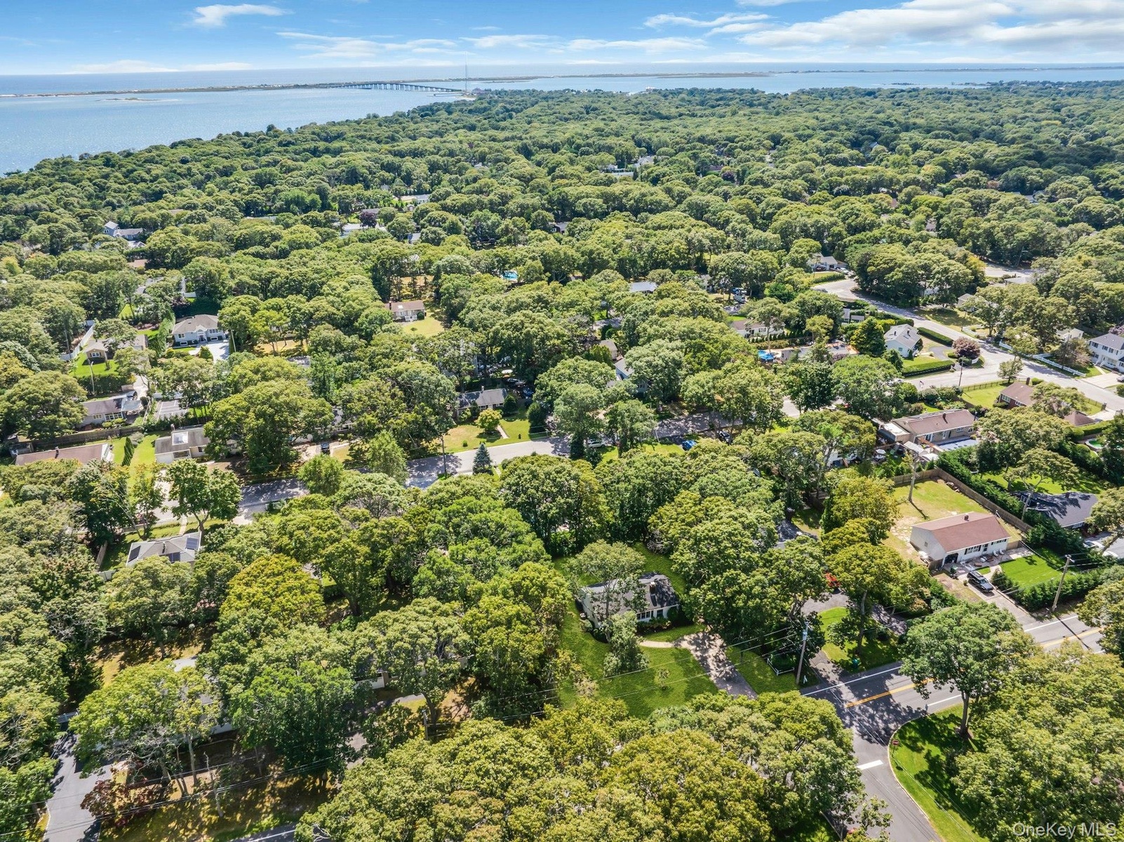 Aerial perspective showcasing a dense tree canopy, residential properties, and distant water