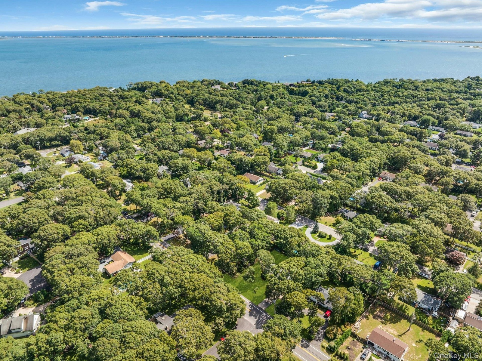 Expansive waterscape, lush tree canopy, residential buildings, and curvilinear street patterns