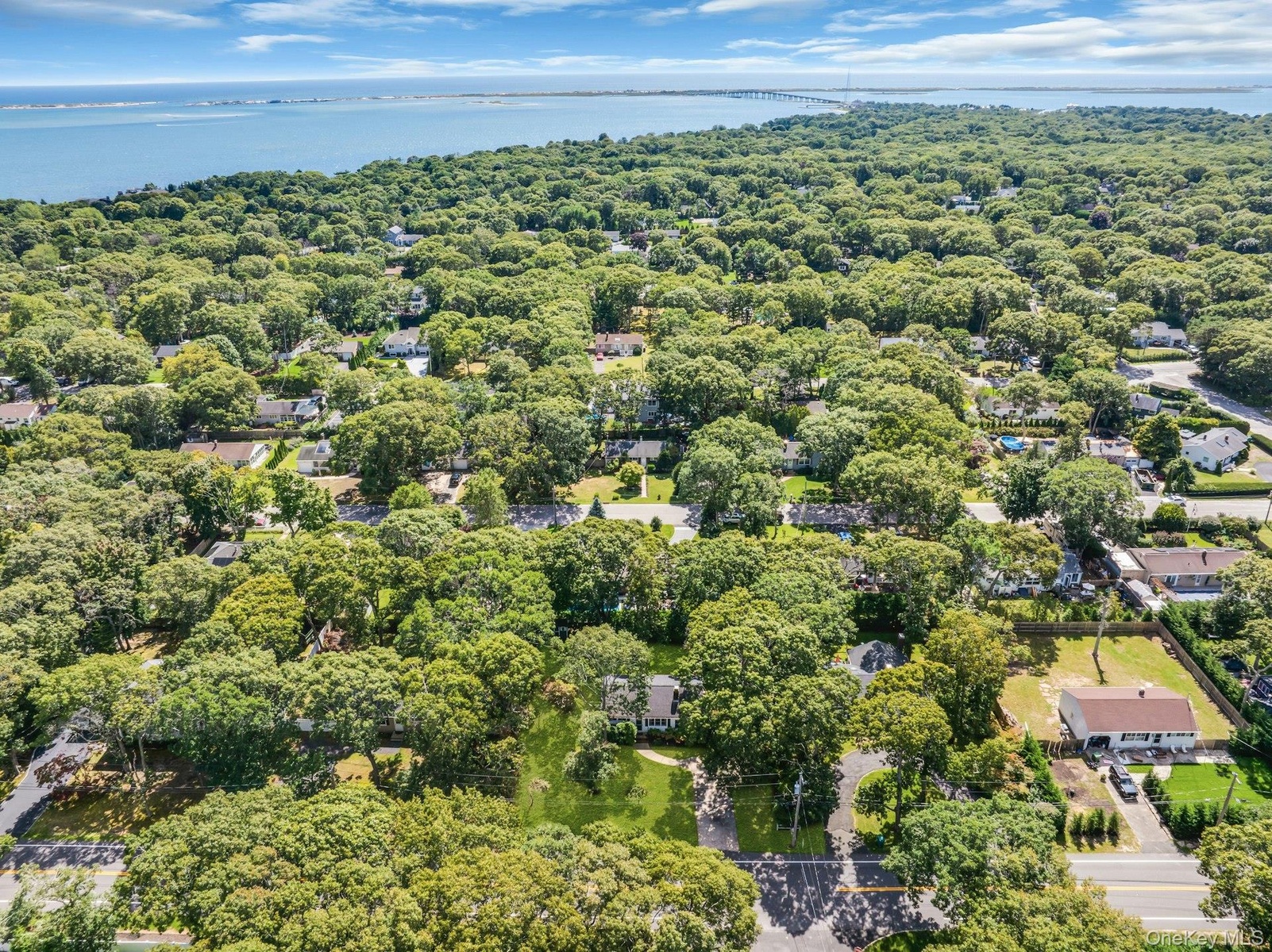 Expansive tree canopy surrounding residential properties, with distant water visible and a bridge structure spanning the horizon