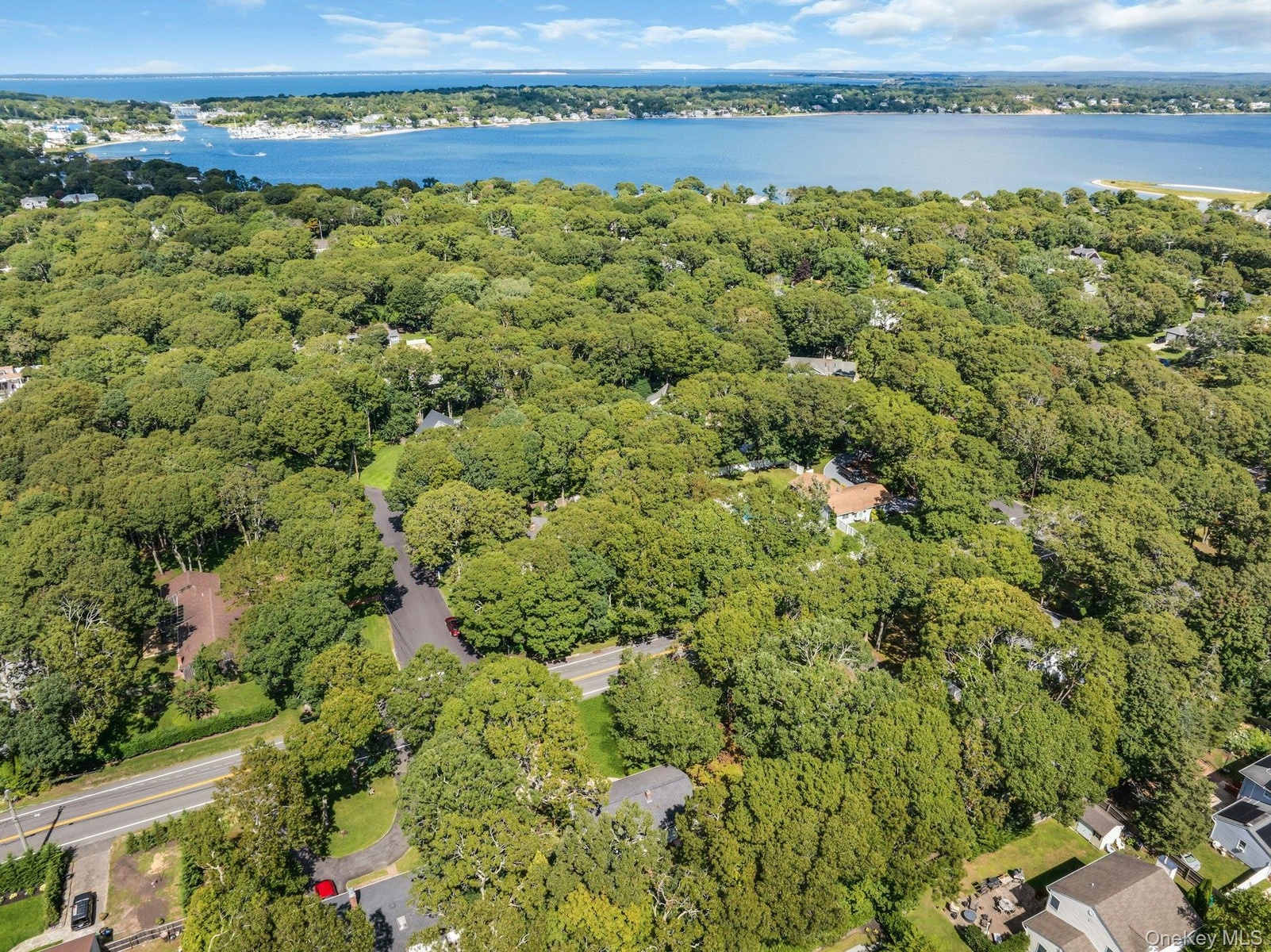Expansive natural landscape with dense tree coverage, bordered by a body of water with distant shorelines