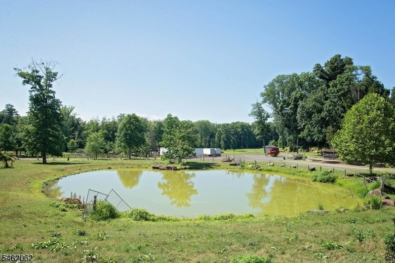 Pond