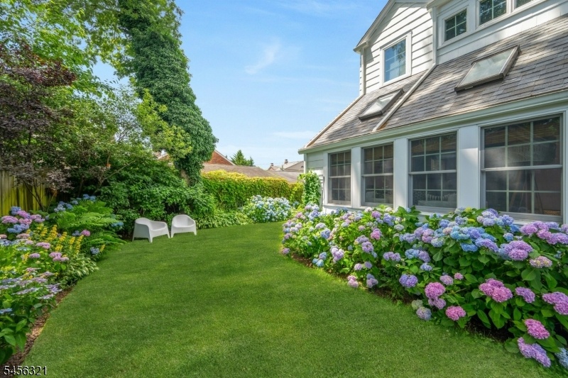 Sideyard