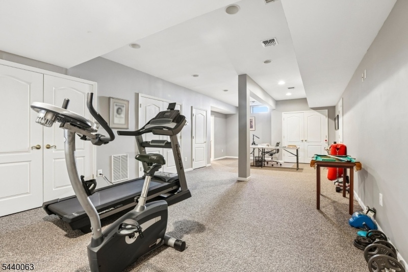 Basement Workout Area