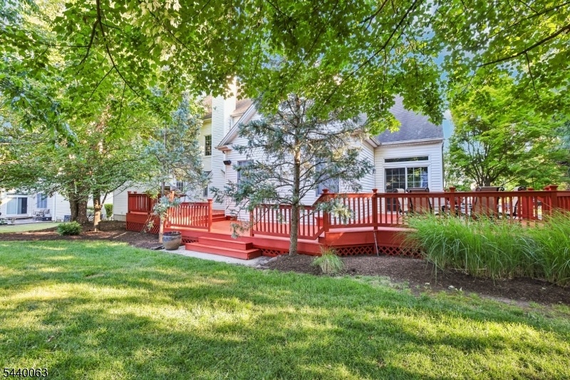 Deck Backyard