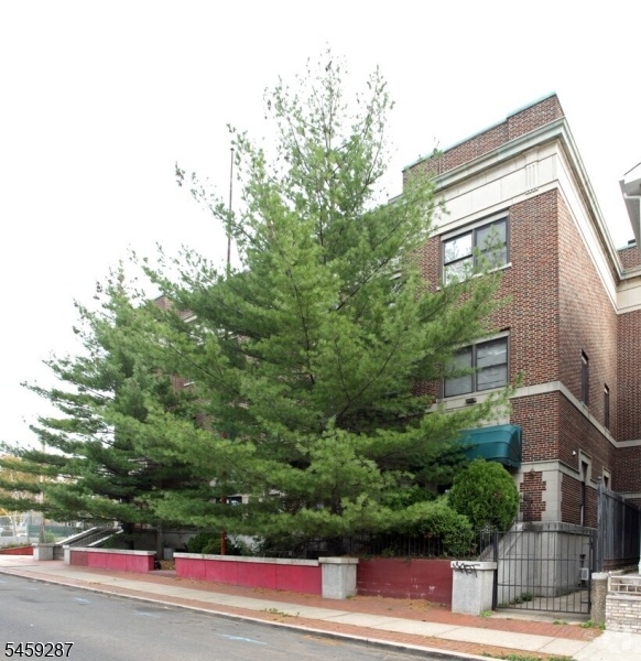 Front View
