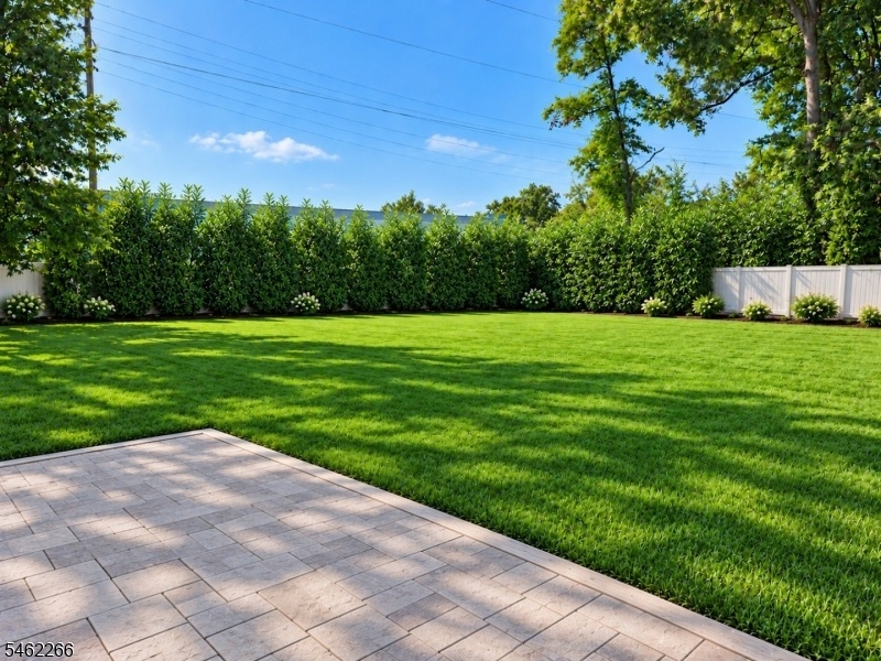 Back yard rendering