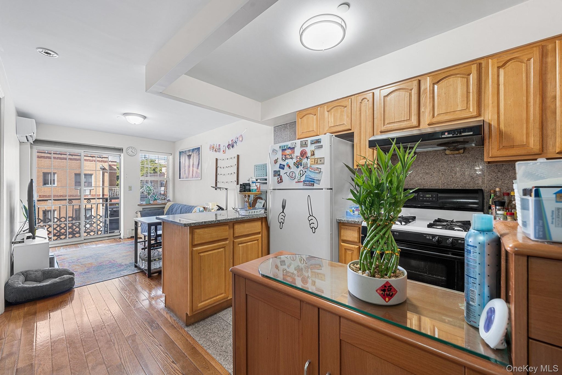 Open kitchen and Living room