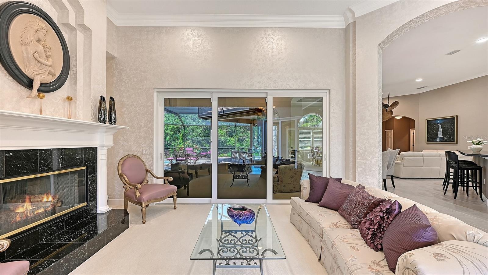 Separate Living Room with decorative natural gas fireplace.