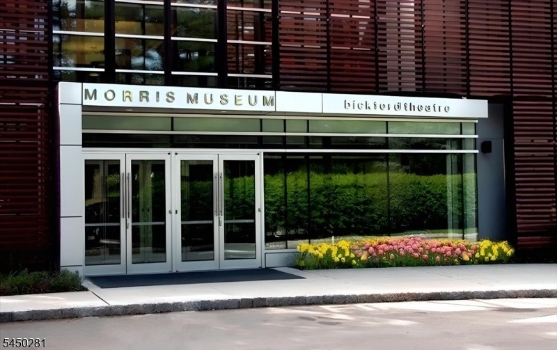 Morris Museum