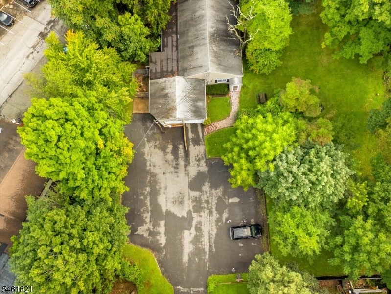 Aerial Business/Parking Area