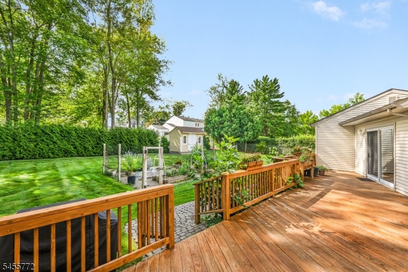 Backyard Deck