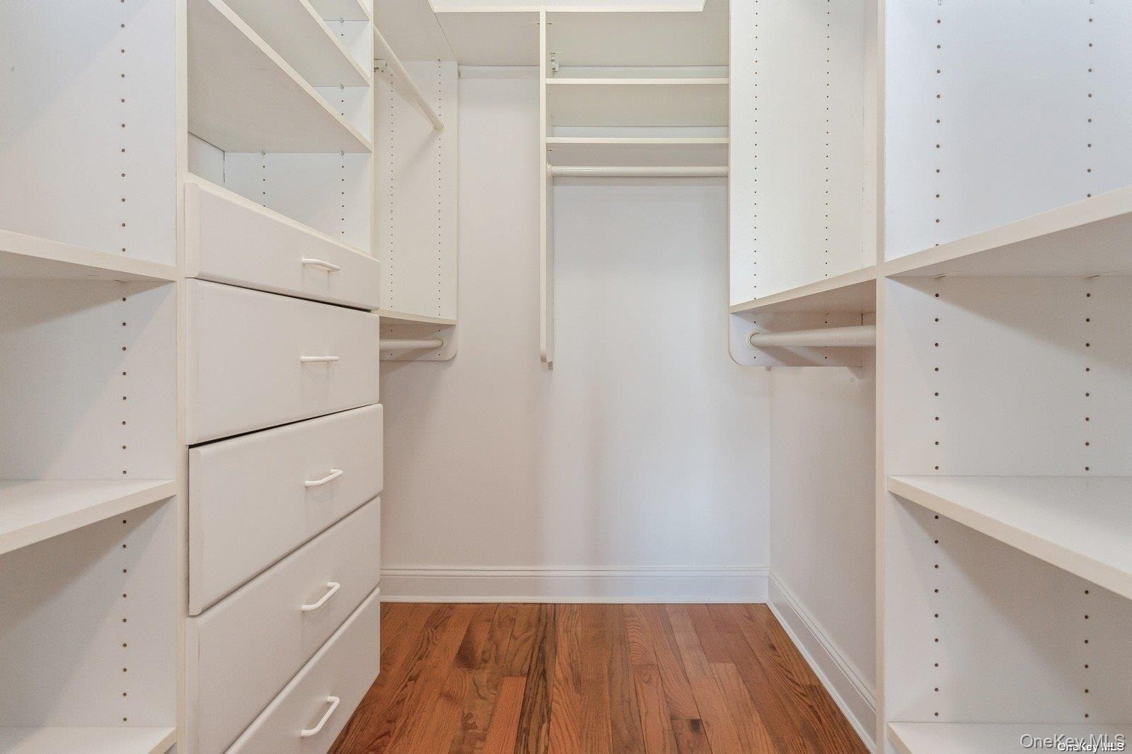 Primary Closet #1