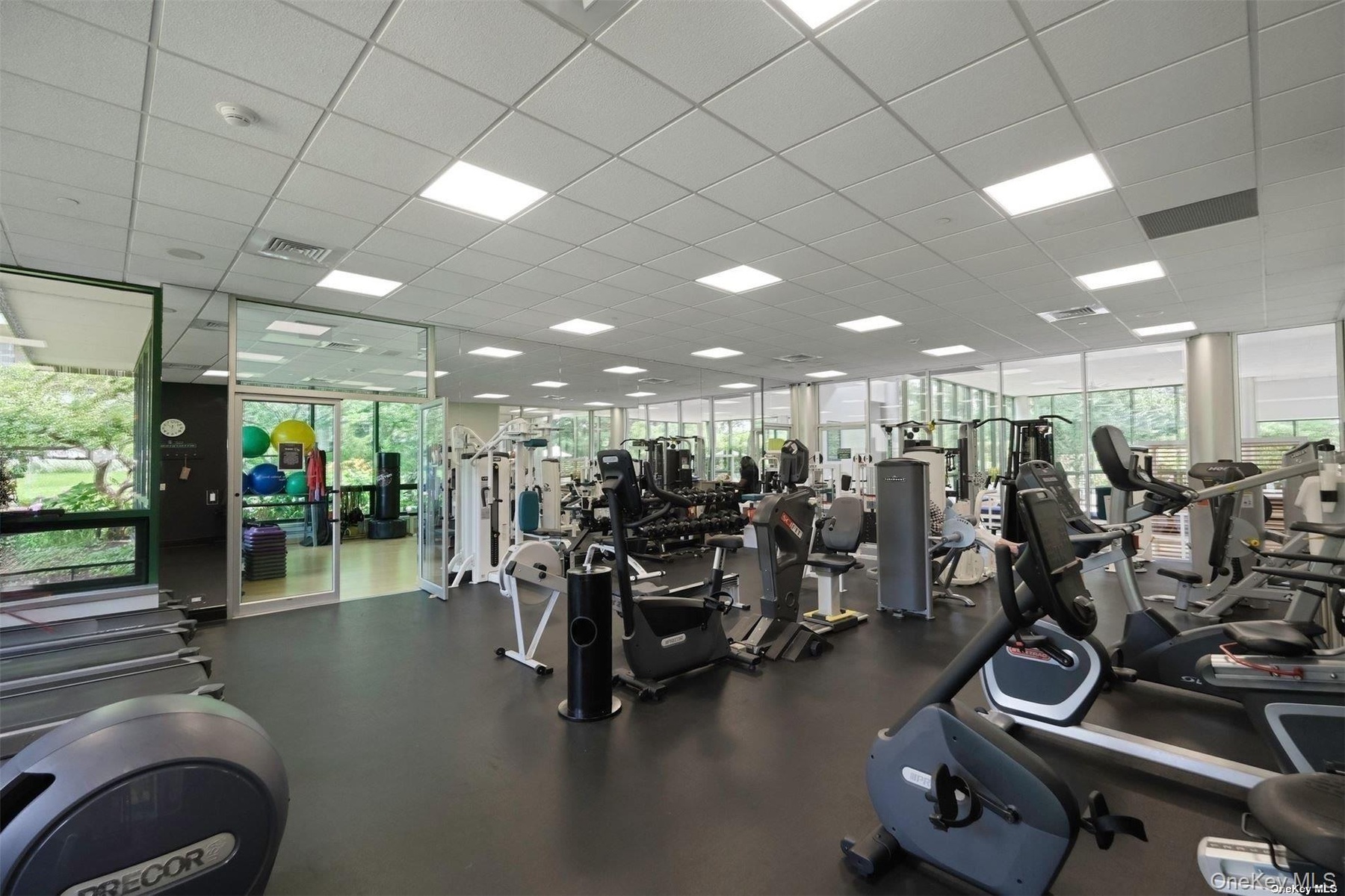 Gym and exercise room