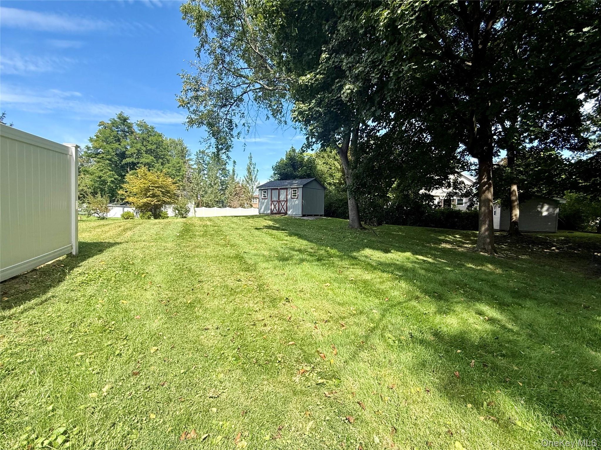 Back Yard