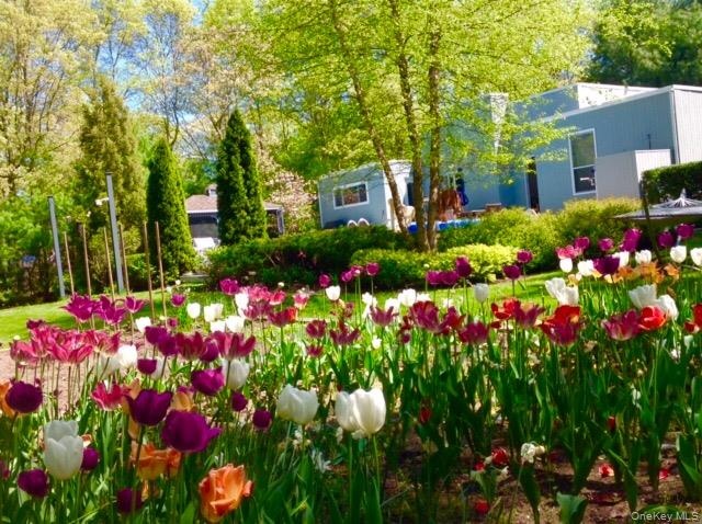 filled with perennials for all season and vegetable garden