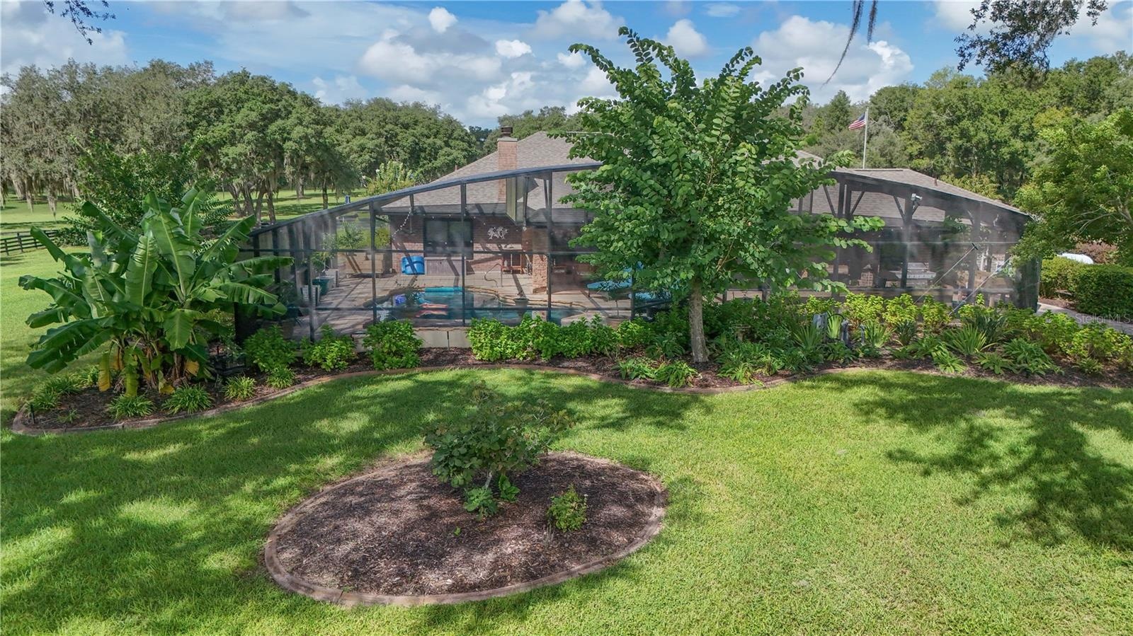 screen enclosure / landscape around home