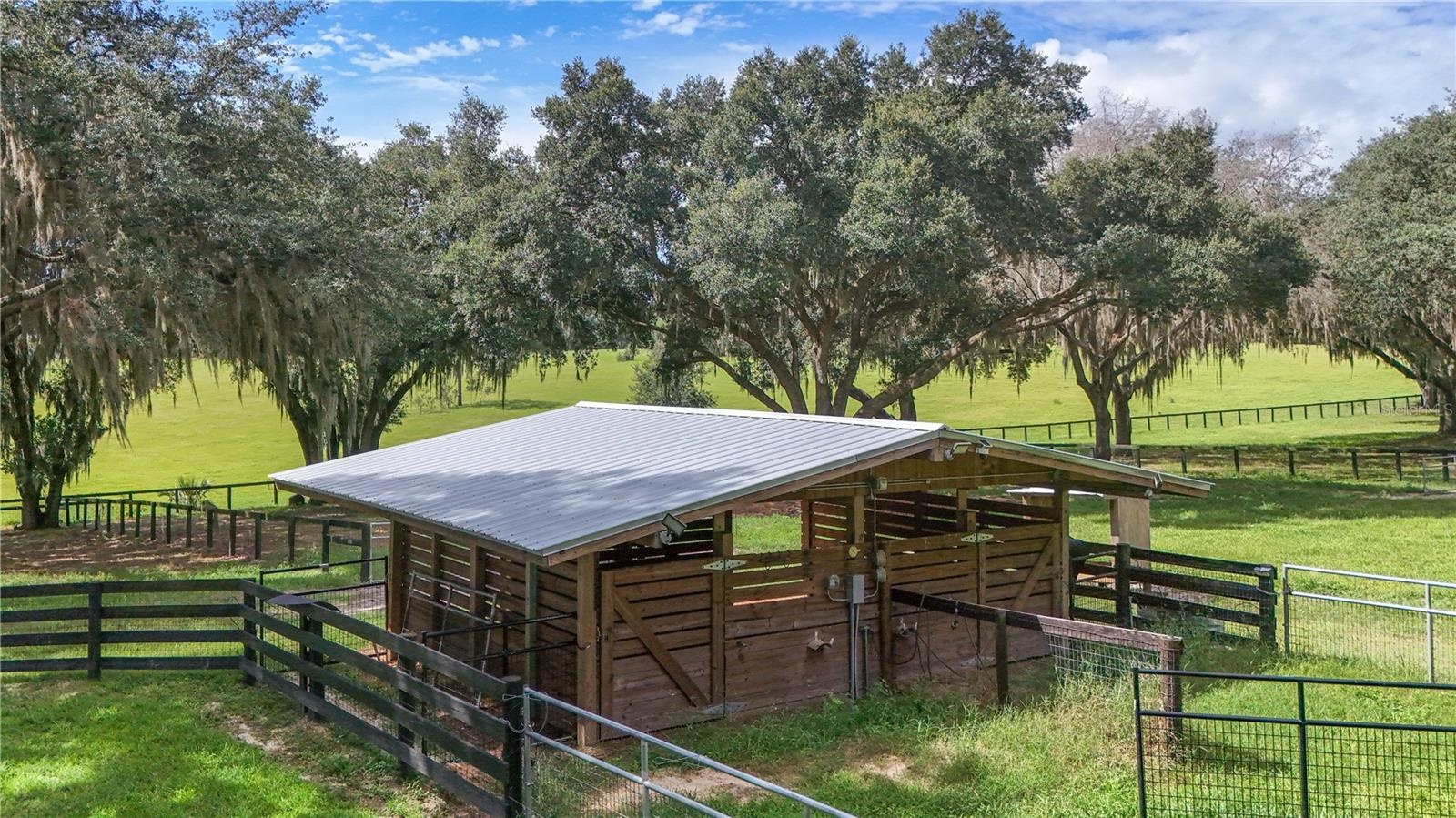 outside day barn in turnouts/pasture