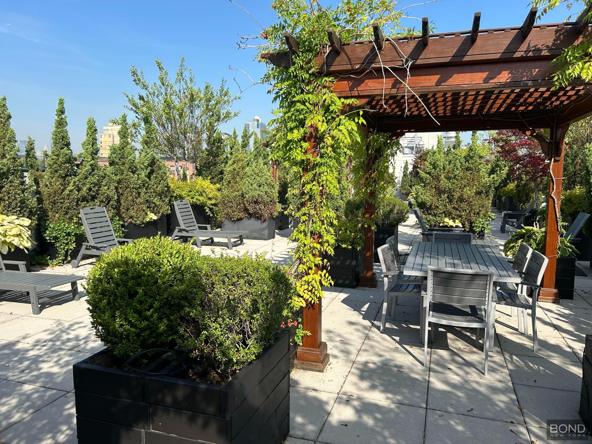 Rooftop Deck